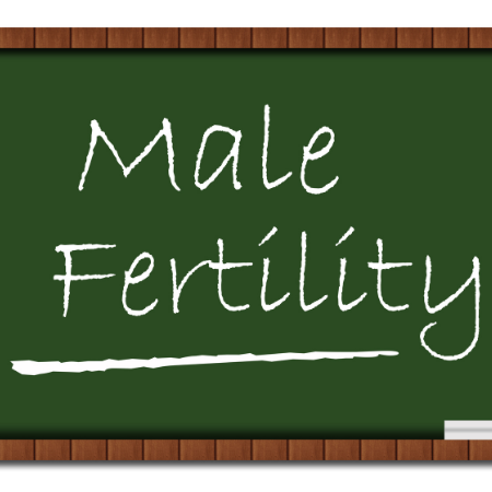 Male Fertility – Timing is everything!