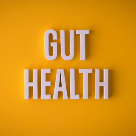 Gut Health, Autoimmunity & Fertility Challenges