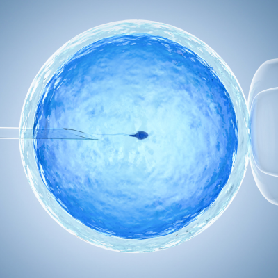 Supporting IVF implantation and embryologic development with the Eight Extras