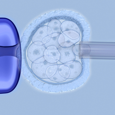 Key Concepts in Facilitating Embryo Implantation